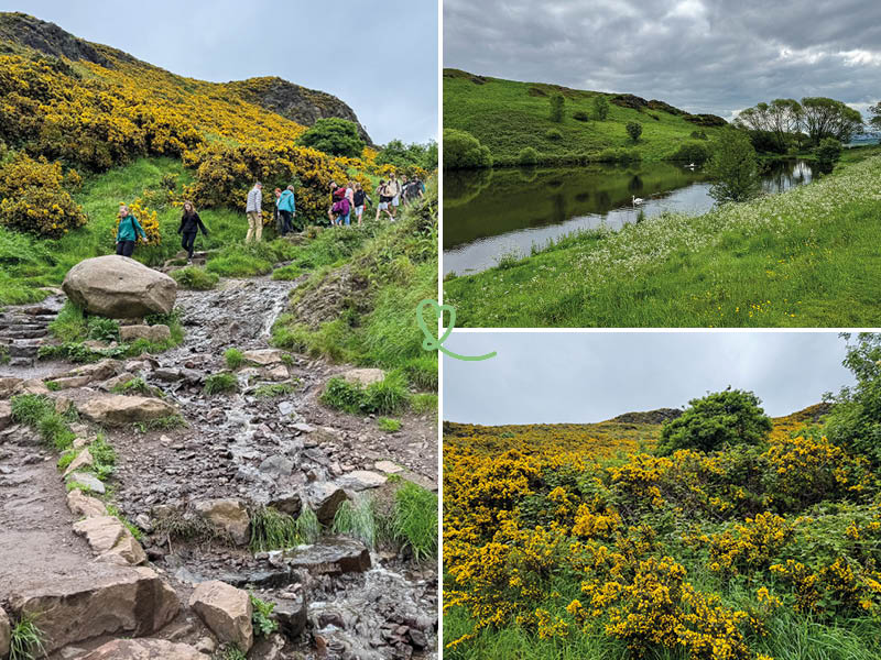 paseo del asiento de arthur