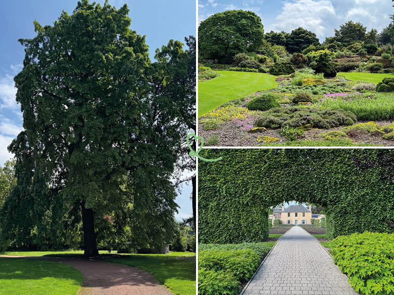 visite o jardim botânico real de Edimburgo
